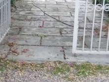 فروش ویلا 400 متر در امامرود در شیپور