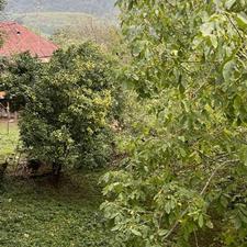 فروش زمین مسکونی 600 متر در لفور