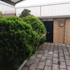 اجاره ویلا شبانه صفائیه