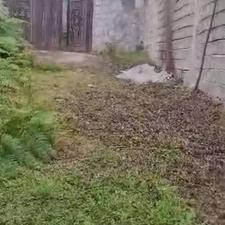 فروش زمین مسکونی 406 متر در روستای اورما ملال