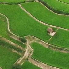 4000 متر شالیزار قیمت مناسب و درجه یک