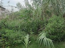 فروش زمین مسکونی 200 متر در چهارمحل آهی در شیپور