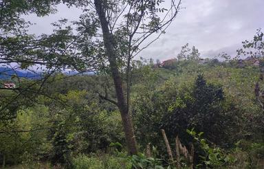 فروش زمین کشاورزی 384 متر در مرکز شهر