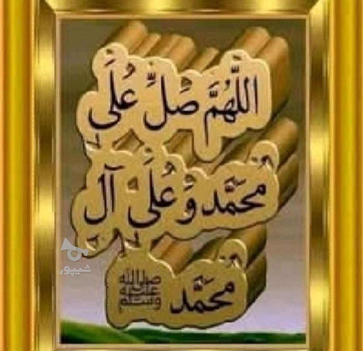 خواهان کار در مرغداری هستم - فروش گوسفند