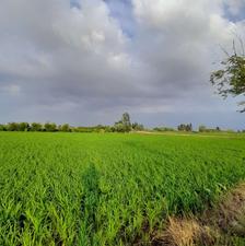 زمین مسکونی185متر موقعیت طلایی سرمایه گذاری بخشی