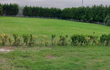 فروش زمین مسکونی 55000 متر در سیسنگان