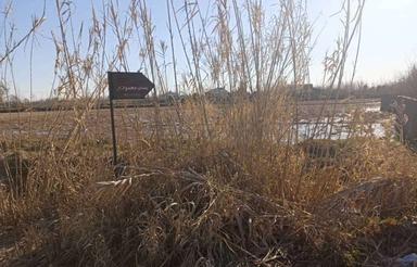 فروش زمین مسکونی وزراعی داخل طرح متر در جاده کوچصفهان