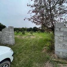 فروش باغ با مجوز گلخانه 2300 متری در کیاکلا