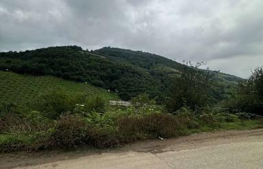 فروش زمین کشاورزی 1500 متر در دهمیان