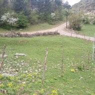 300 متر زمین در بهترین جا با ویوی عالی