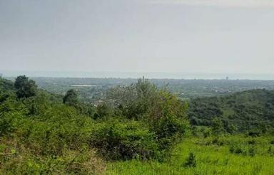 فروش زمین مسکونی 5800 متر در دینارسرا