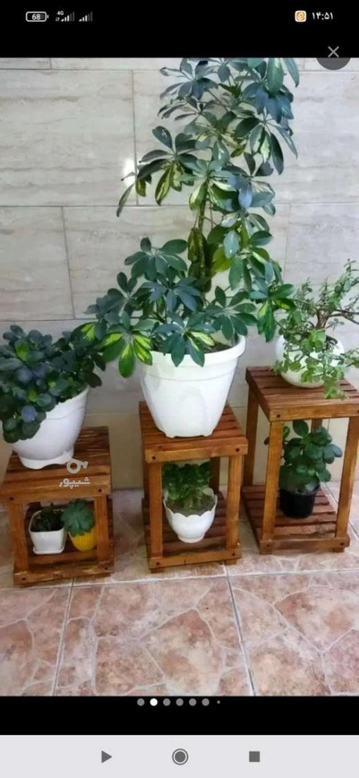 ساخت انواع دکوری چوبی