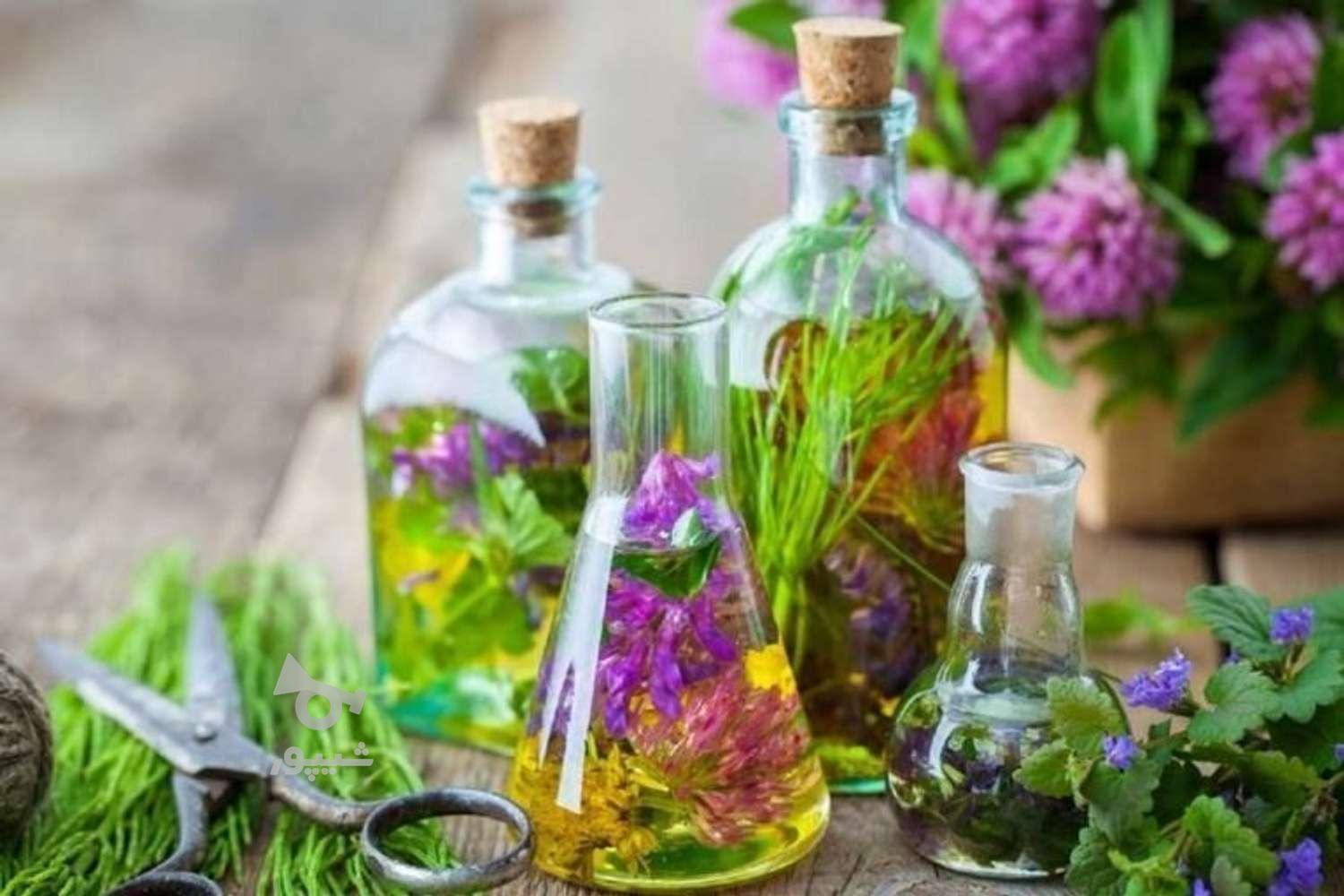 عرقیات و گیاهان دارویی