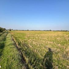 5هکتار زمین زراعی نزدیک به کمربندی جاده بابل