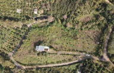 فروش زمین کشاورزی 8000 متر در وسطی کلا