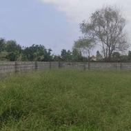 فروش زمین مسکونی 262 متر در مازولنگاسر