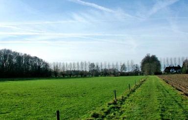 فروش زمین کشاورزی 5000 متر در رودسر