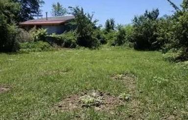 فروش زمین کشاورزی 2500 متر در جاده کلدره