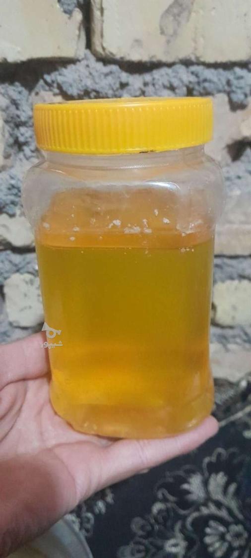 کره گاوی و گوسفندی یه شرط روغن زرد