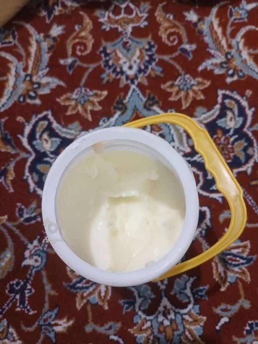 کره گاوی و گوسفندی یه شرط روغن زرد