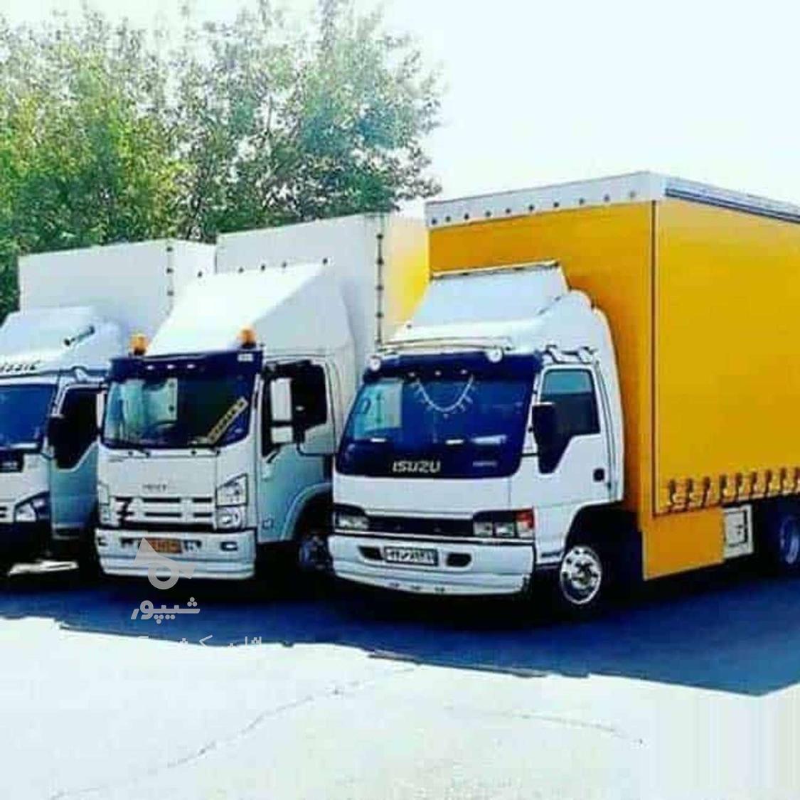 اریا گستر با ارزانترین قیمت و بهترین کیفیت