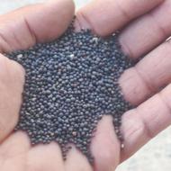 کلزا درجه‌ تمیز مقدار 400کیلو