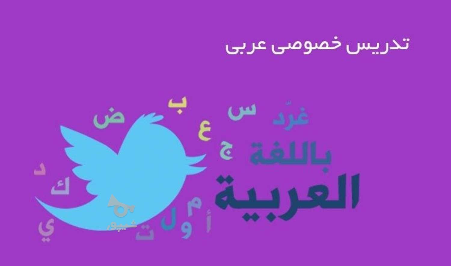تدریس ریاضی همه پایه ها +عربی
