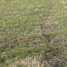 فروش زمین کشاورزی 3300 متر در سوته