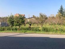 فروش زمین مسکونی 1094 متر در مرکز شهر در شیپور