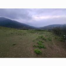 فروش زمین کشاورزی 1450 متر در گردشی