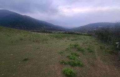 فروش زمین کشاورزی 1450 متر در گردشی