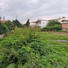 فروش زمین تجاری 50 متر در قادیکلا بزرگ