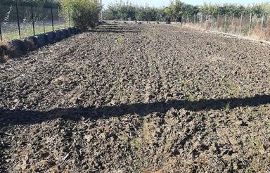 850 متر زمین خونه باغی