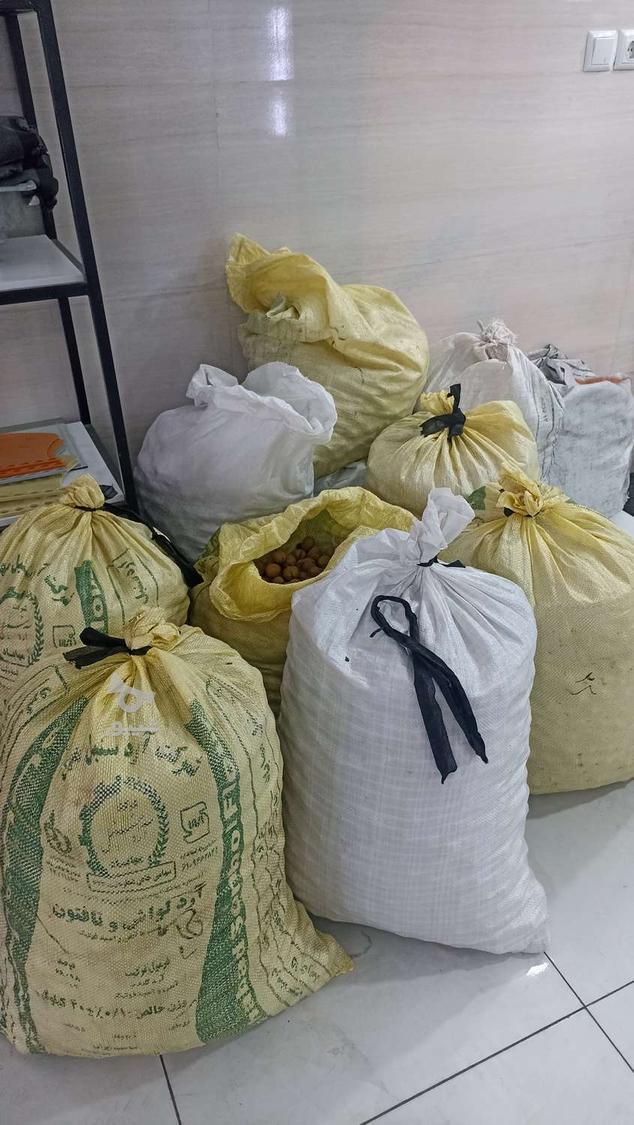 فروش گردو گوشتی درجه 1