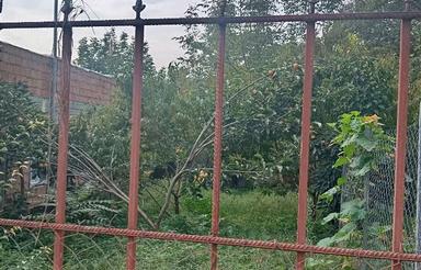 فروش زمین مسکونی290 متر در شکتا