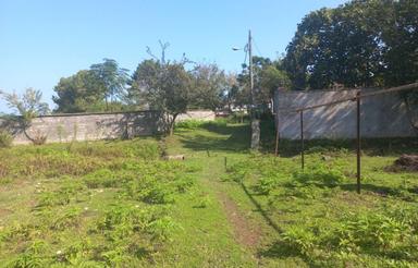 فروش زمین مسکونی 250 متری طارم سرا رضوانشهر گیلان