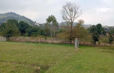 فروش زمین مناسب آلونگ 460 متر در سالار دره