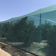 تولید و پخش انحصاری توری سایبان (شید گلخانه) گارانتی 36 ماهه