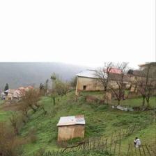 فروش زمین مسکونی 200 متر پل سفید (طالع)