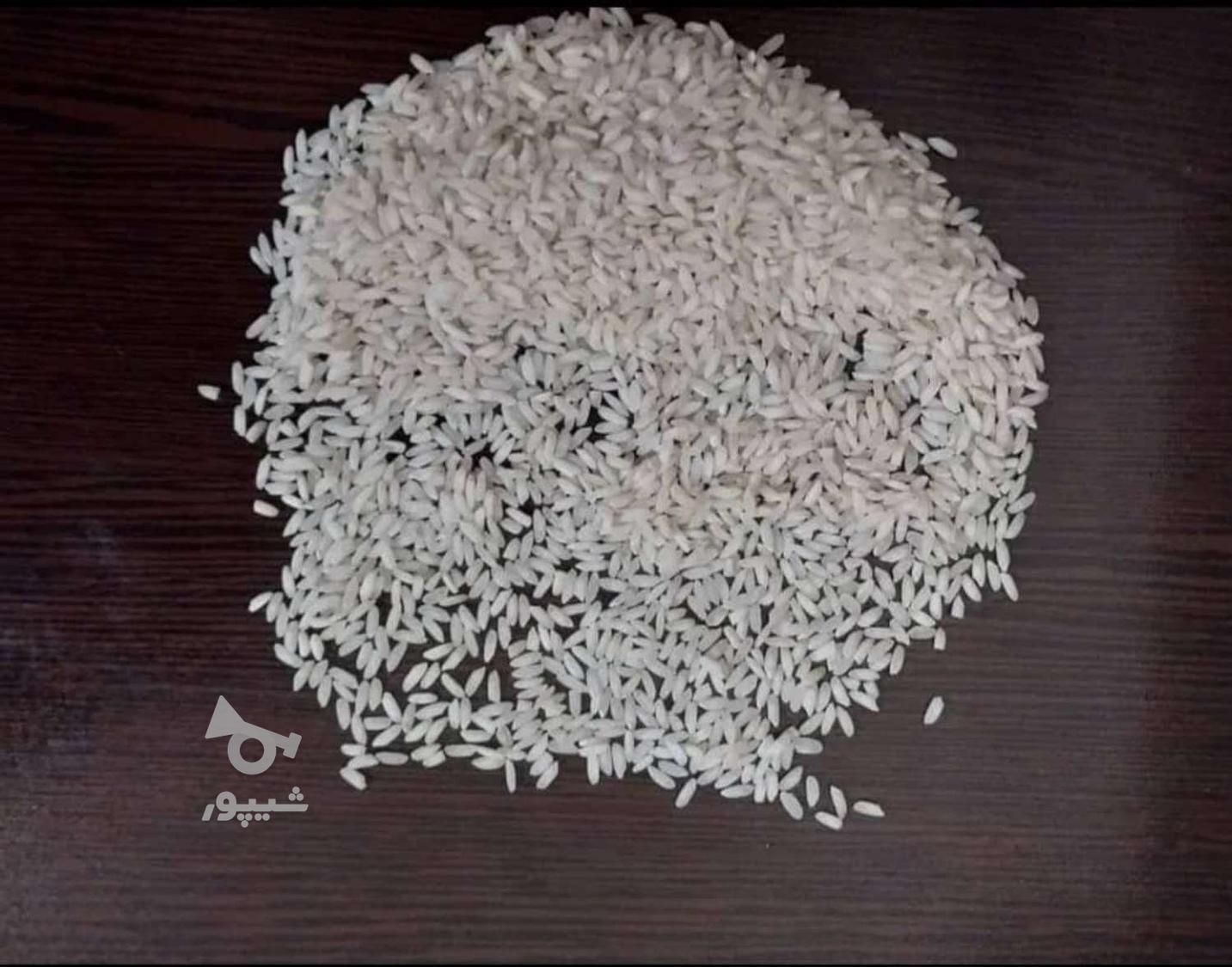 برنج عنبر بو شوشتر درجه یک