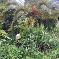 فروش ویلا باغ 610 متر در محمد حسین آباد