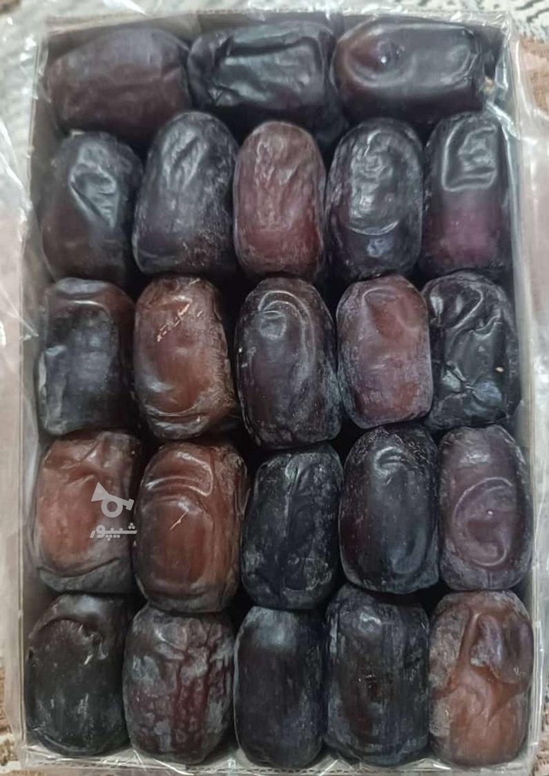 خرما صادراتی دو ردیف و سه ردیف