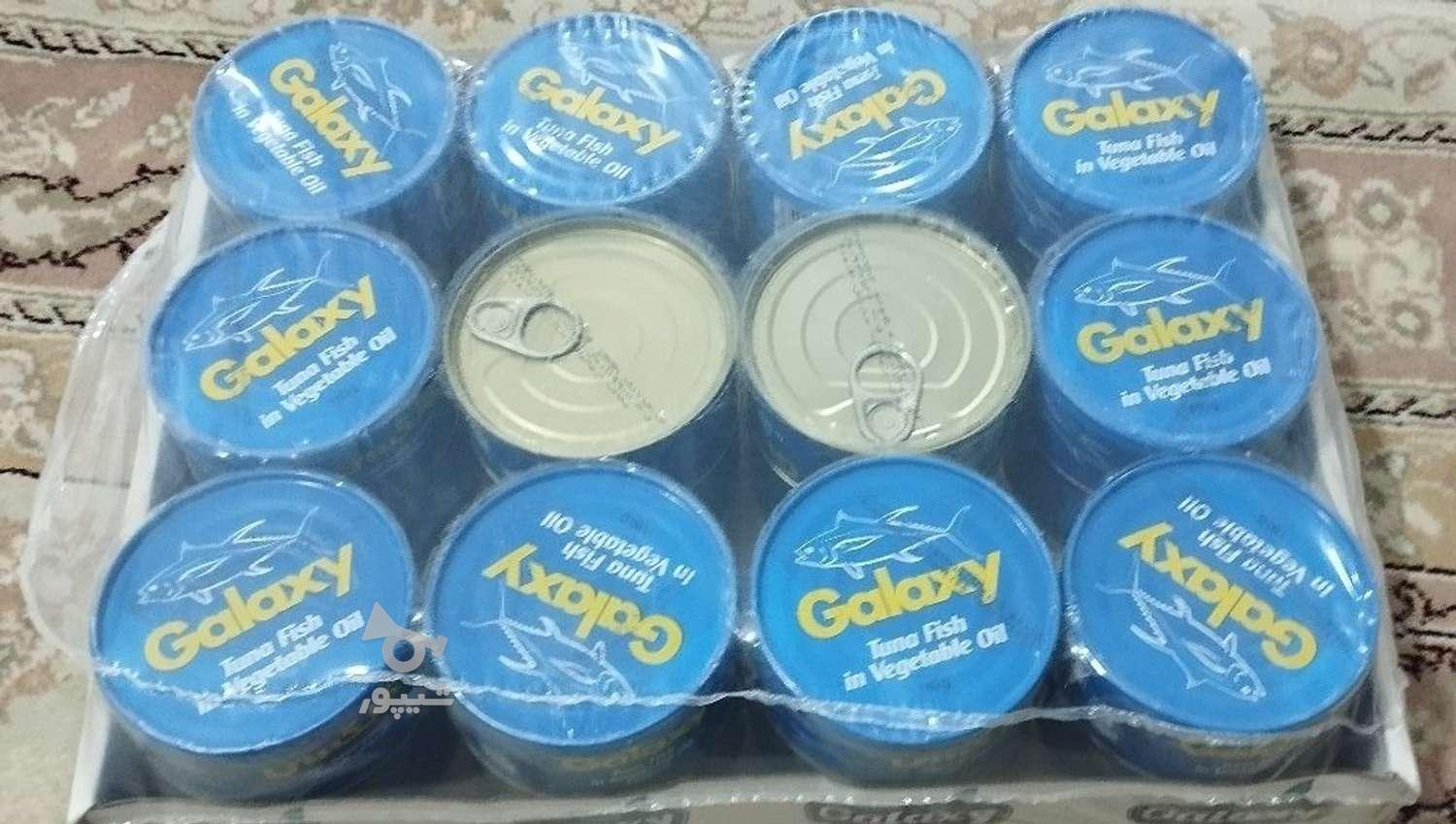 تن ماهی گالکسی Galaxy