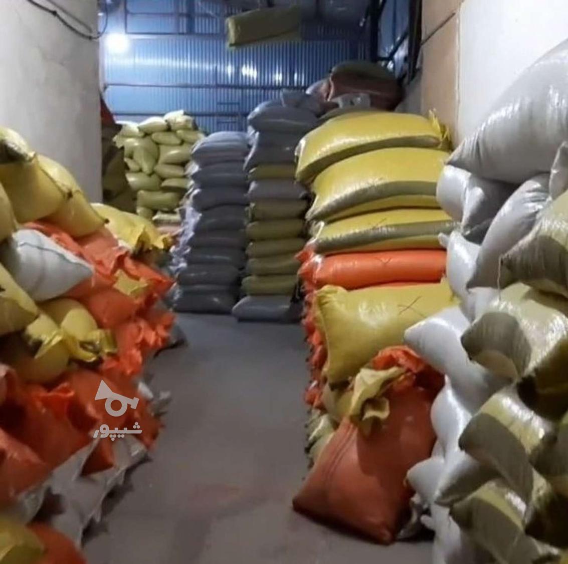 تخمه آفتابگردان سنقری اصل