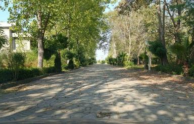 فروش زمین مسکونی 700 متر در عباسا