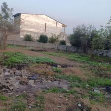 فروش زمین داخل بافت 300 متر در روستای علو