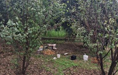 فروش زمین مسکونی 300 متری در آهنگرکلا