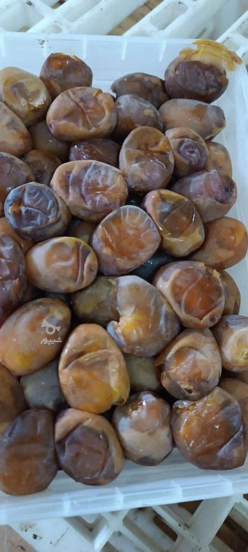 خرماعسلی رطب برحی آبادان