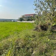 زمین مسکونی343متر در معصوم آباد(ناصرآباد)