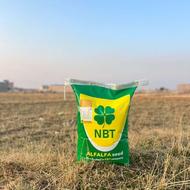 بذر یونجه گرمسیری مائوپا آمریکایی ضمانتی